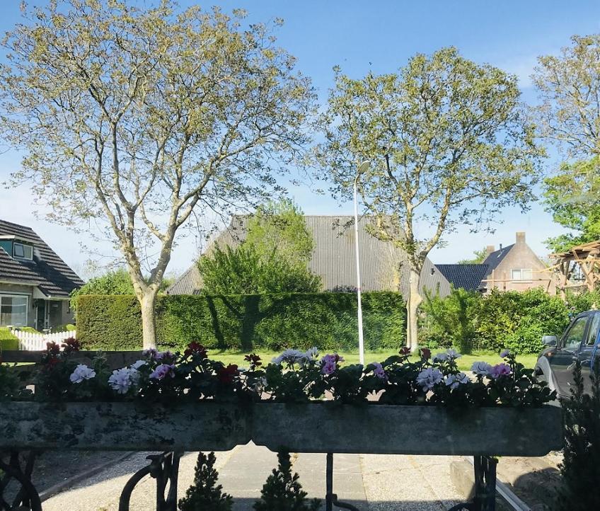 De Fryske Wyn Bed & Breakfast Ferwerd Eksteriør bilde